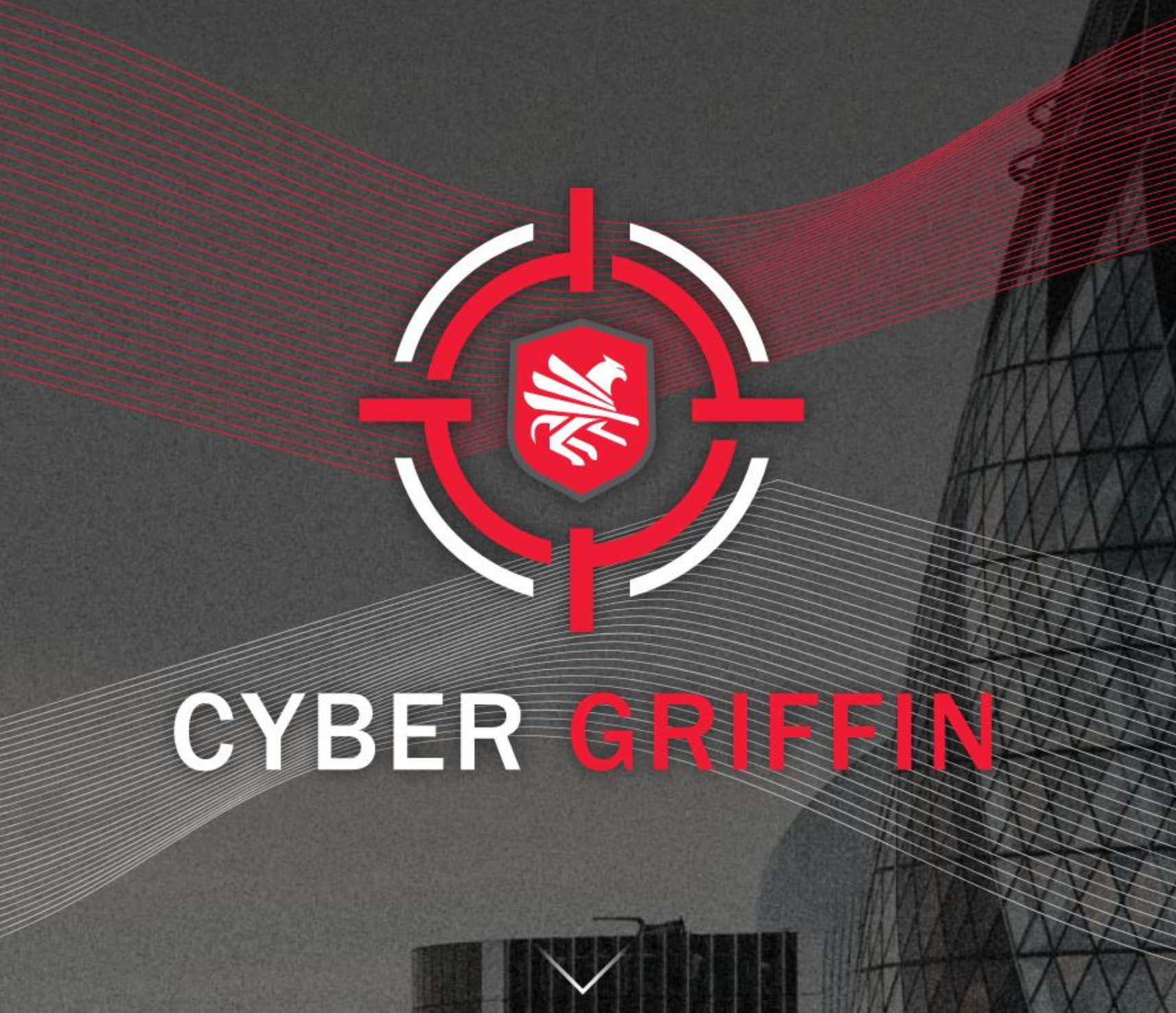 Cyber Griffin